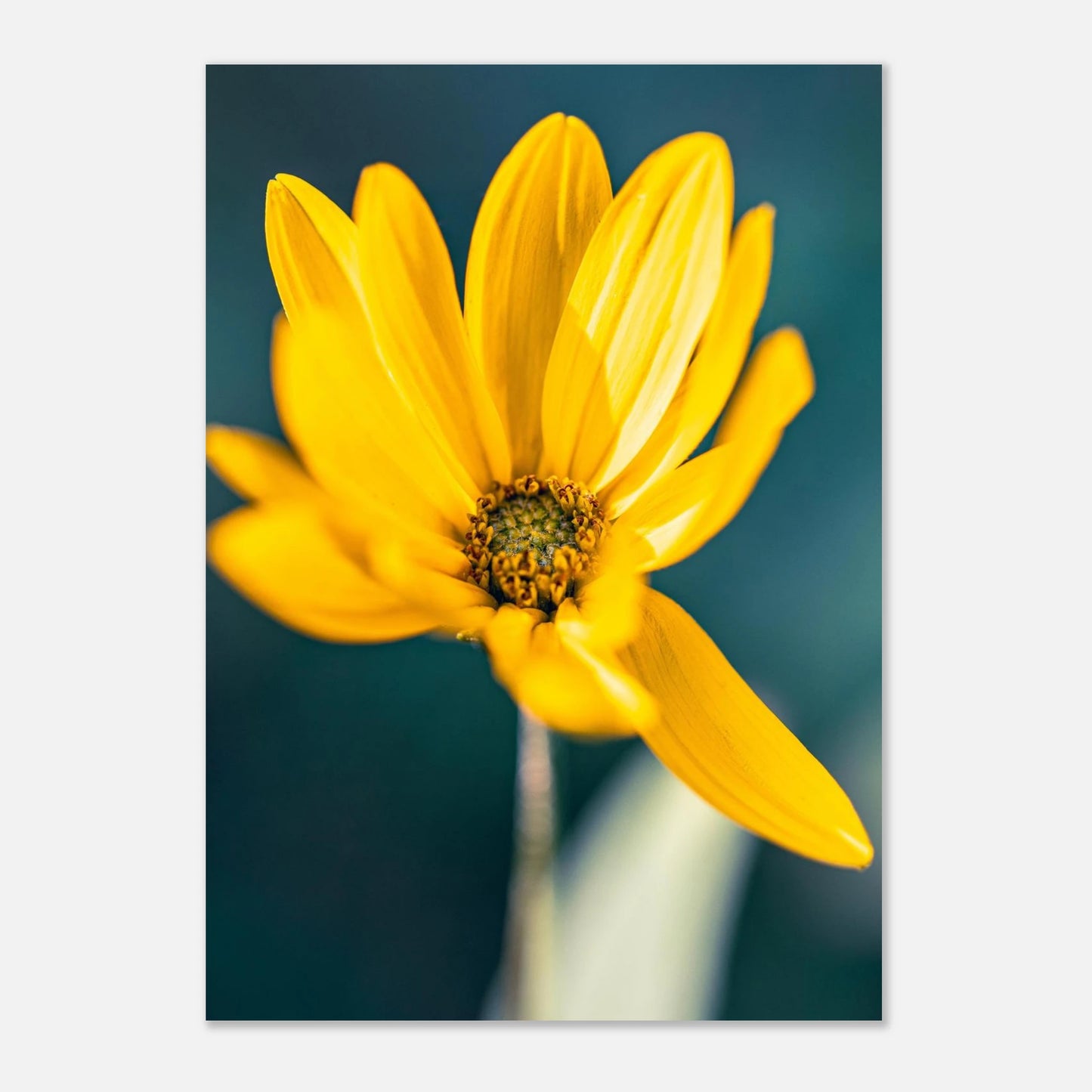 749ff2bb-f451-4d09-bd4d-366499711a6b