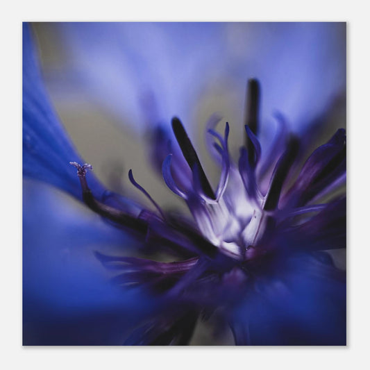 8b2bb0de-e235-4ce6-8d15-2d49acec270d