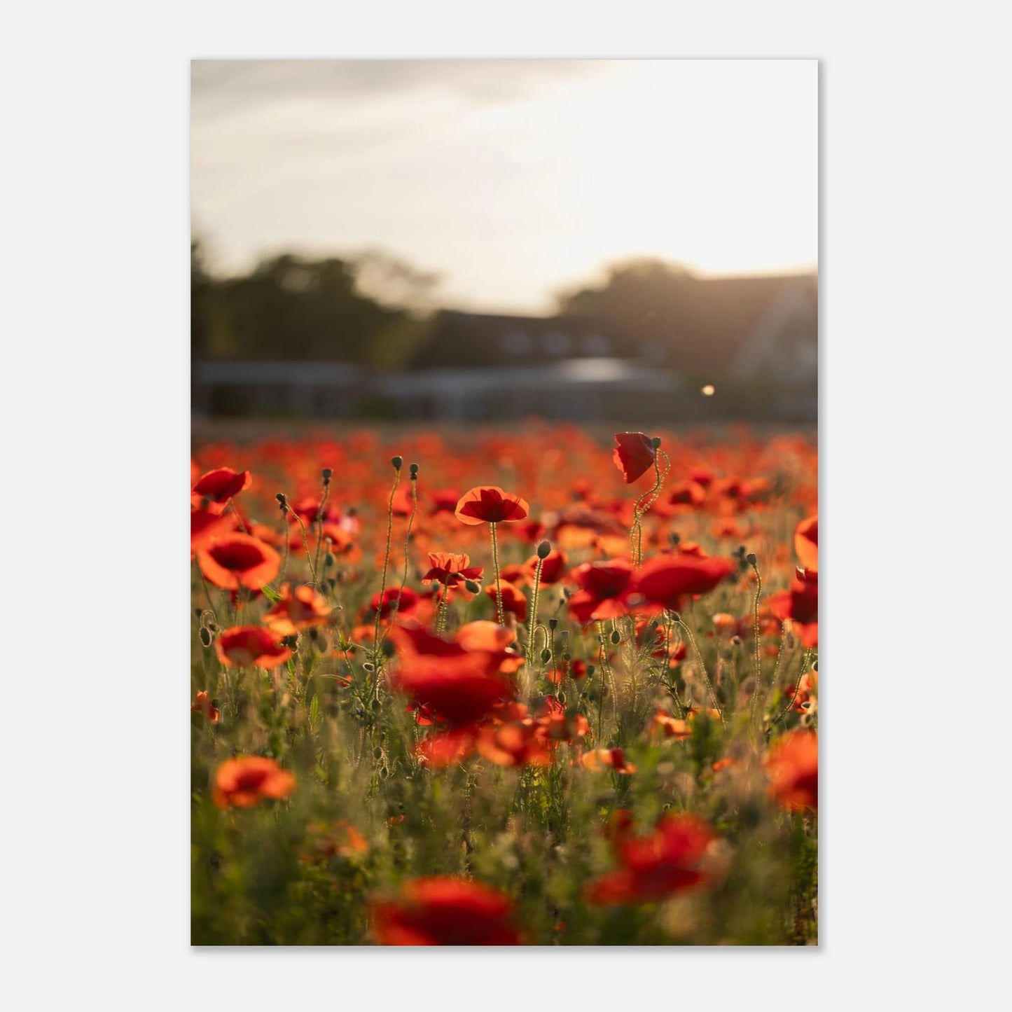 be57b470-f1a1-427b-a728-97e6962e349f