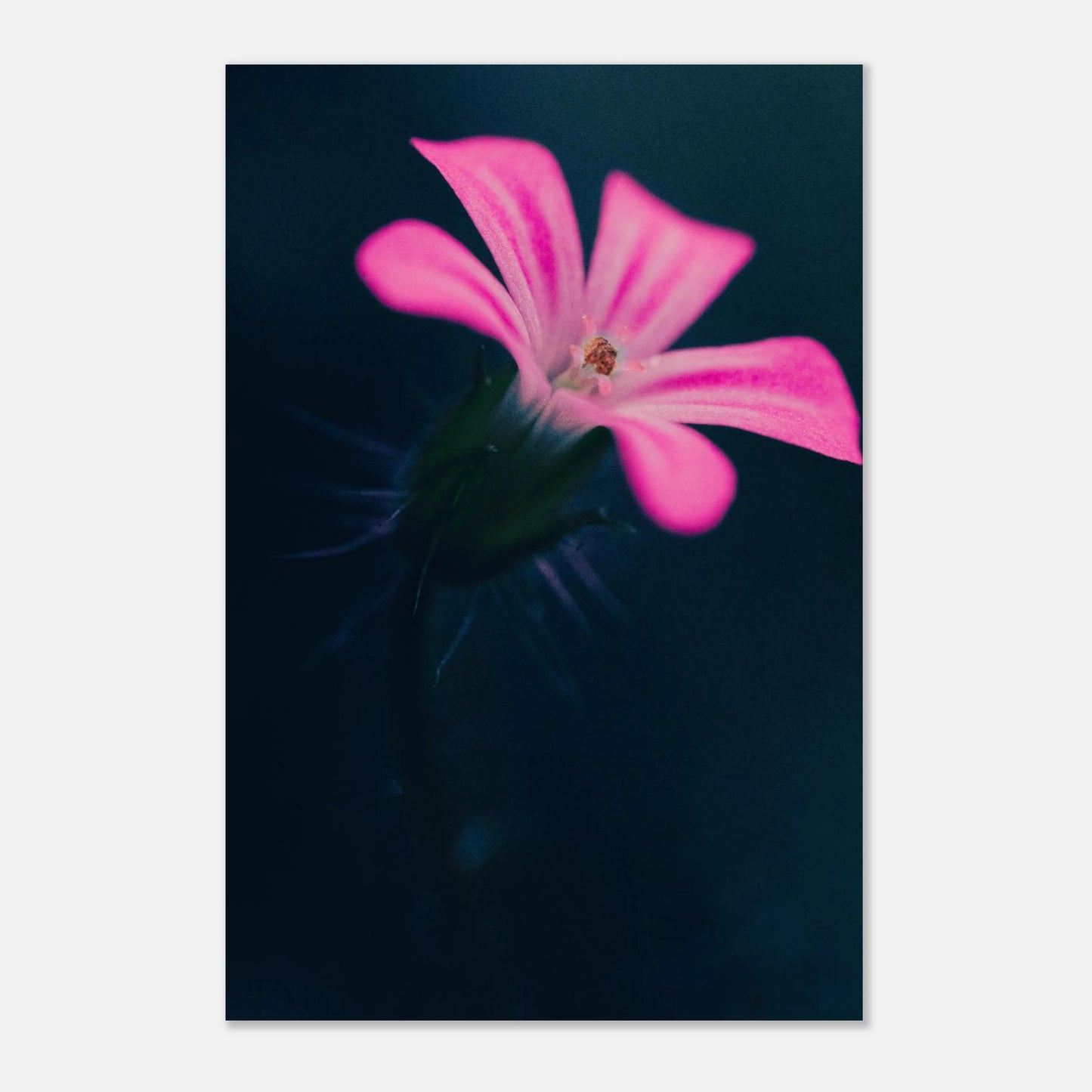 f8643aa5-685f-434c-bdab-57eaf52bd15a