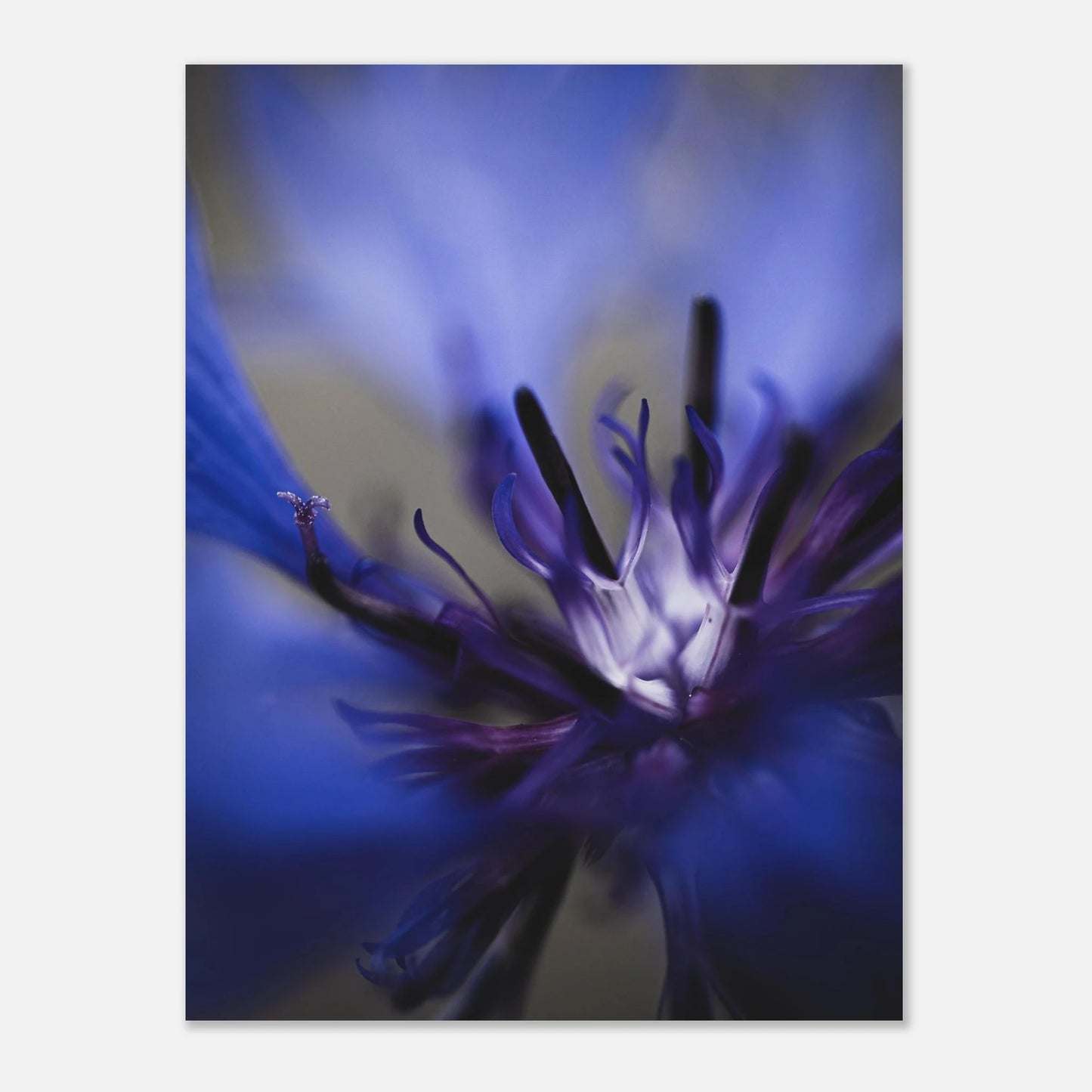 30d4352f-2f02-405a-99fe-2c0a004aaa6c