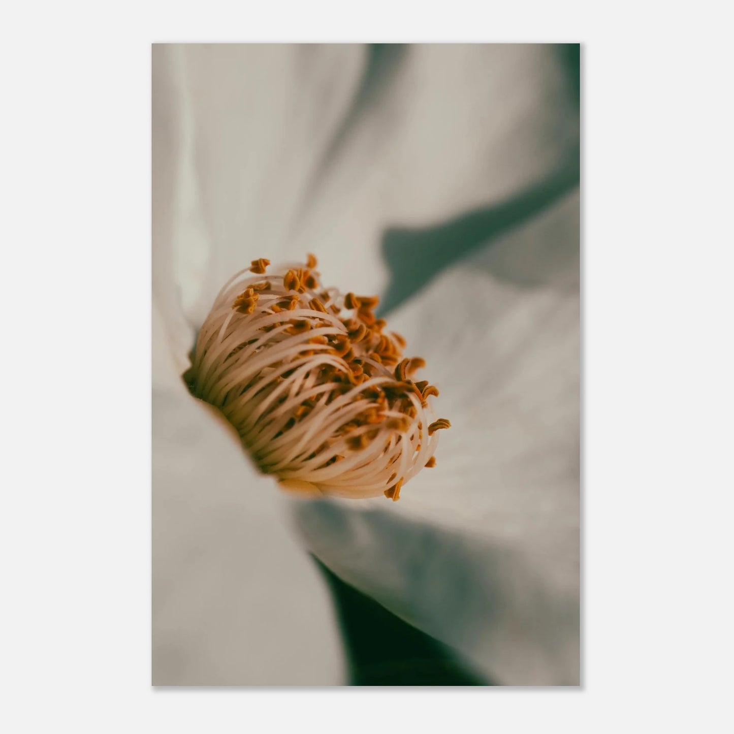 3a05d270-f525-431b-b7ca-512ba74f2541