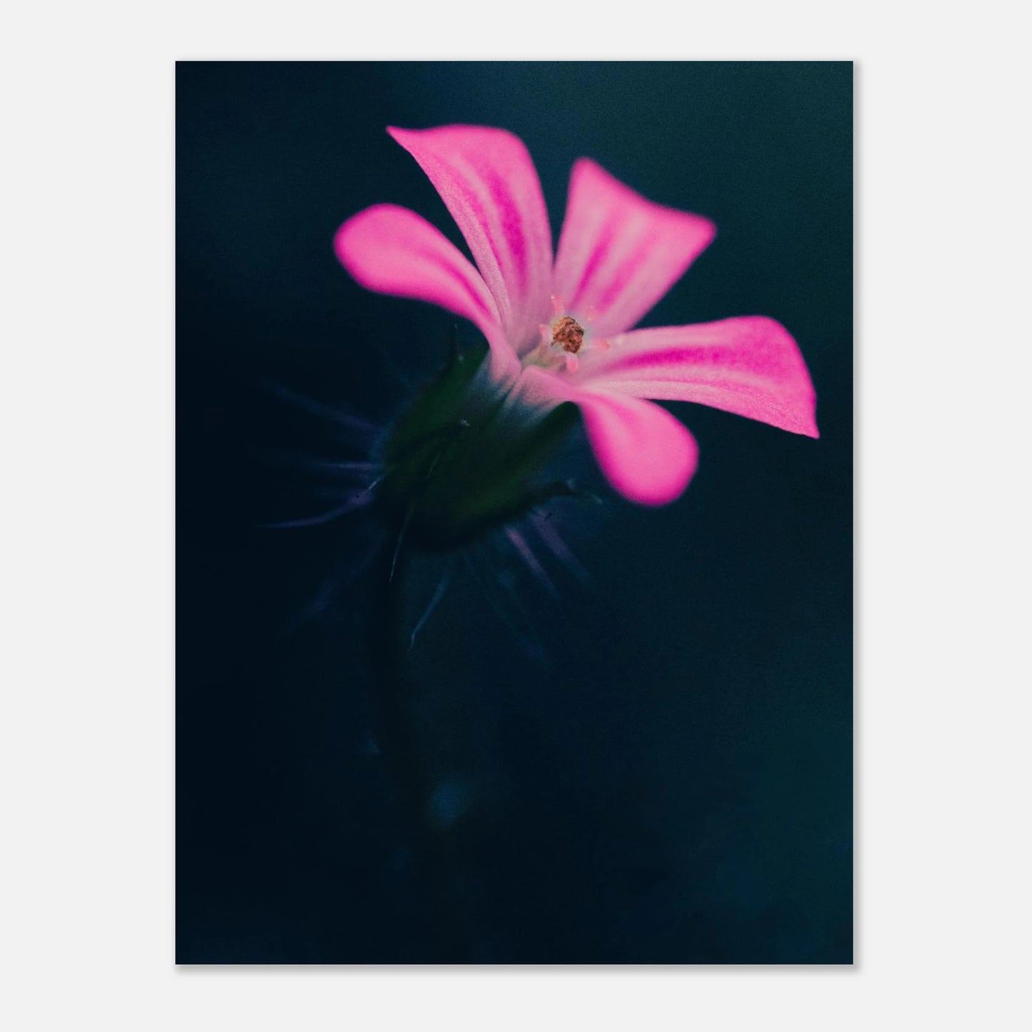 4dab1754-22eb-407b-889a-239104493610