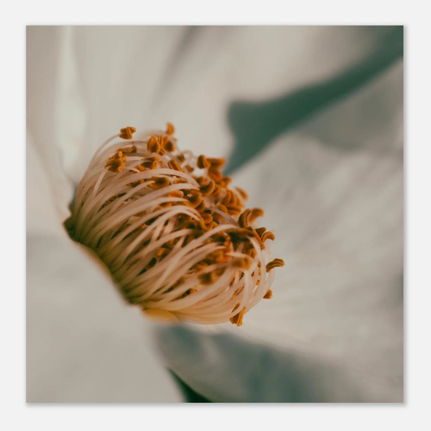 5c38054a-e55a-4fc1-b898-4f121aabbeae