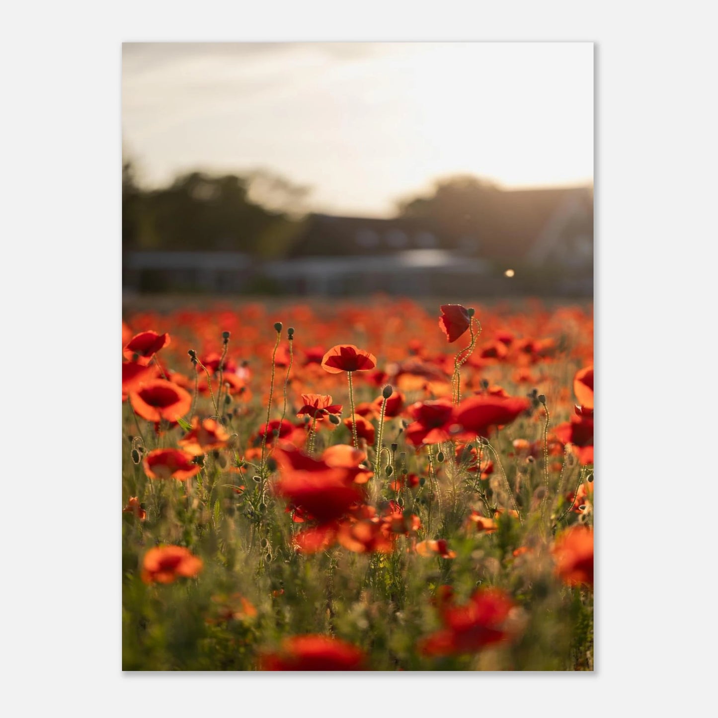 60086b3a-5e19-4c0d-aad9-f3e92c26f8be