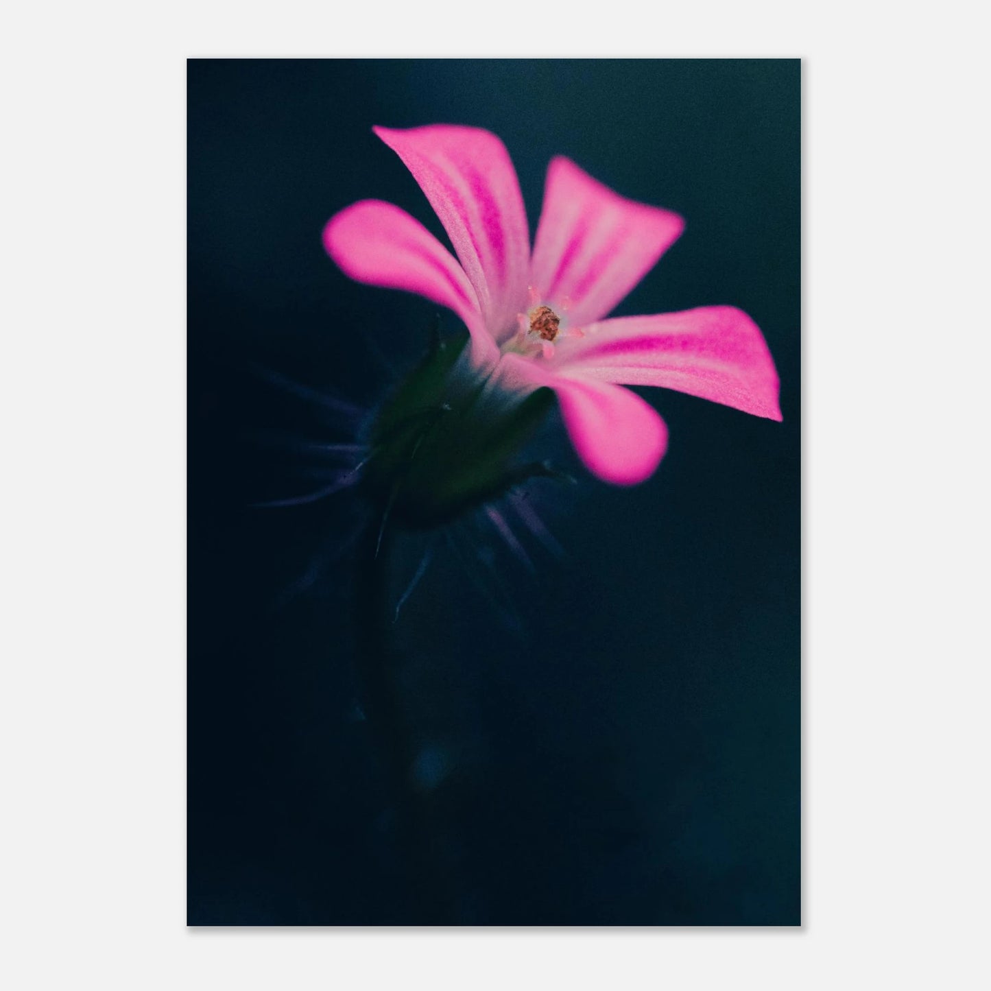 896f2f45-e9f2-498c-a72e-ec8c7238ea61