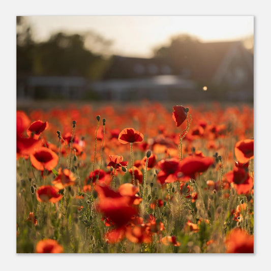 a418f954-ac8d-4d1b-99bb-2367f739b82c