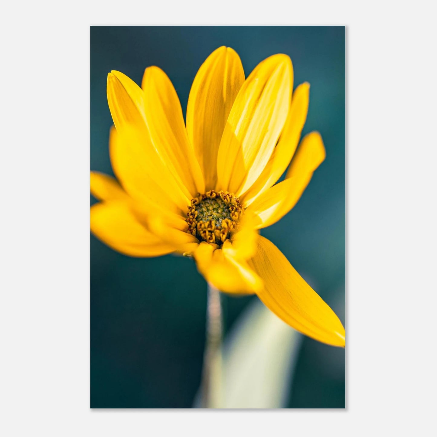 a6a4b90e-619b-45f8-b16c-d972af119060