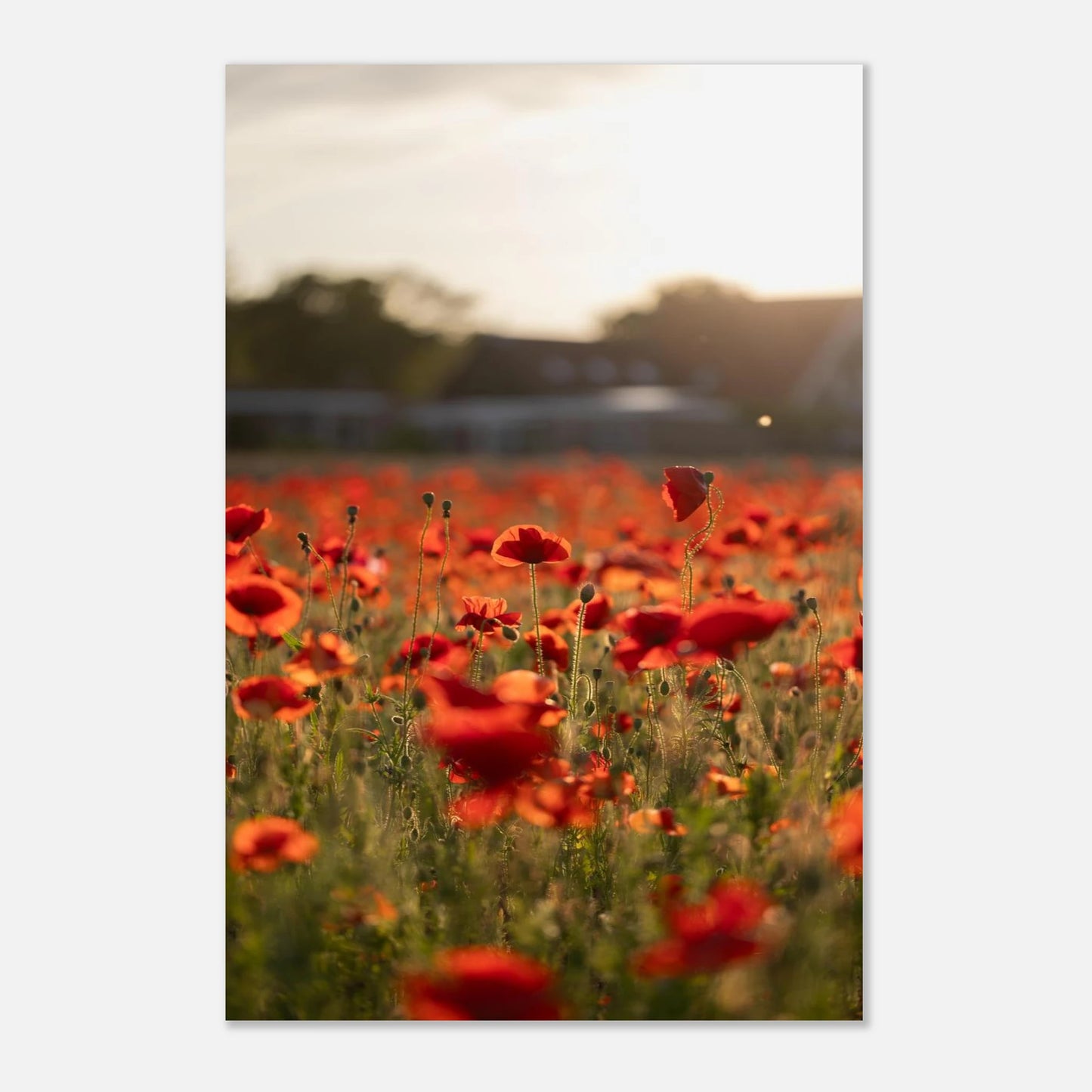 aa2e67db-1b8a-40a1-8c83-11d3f1381935