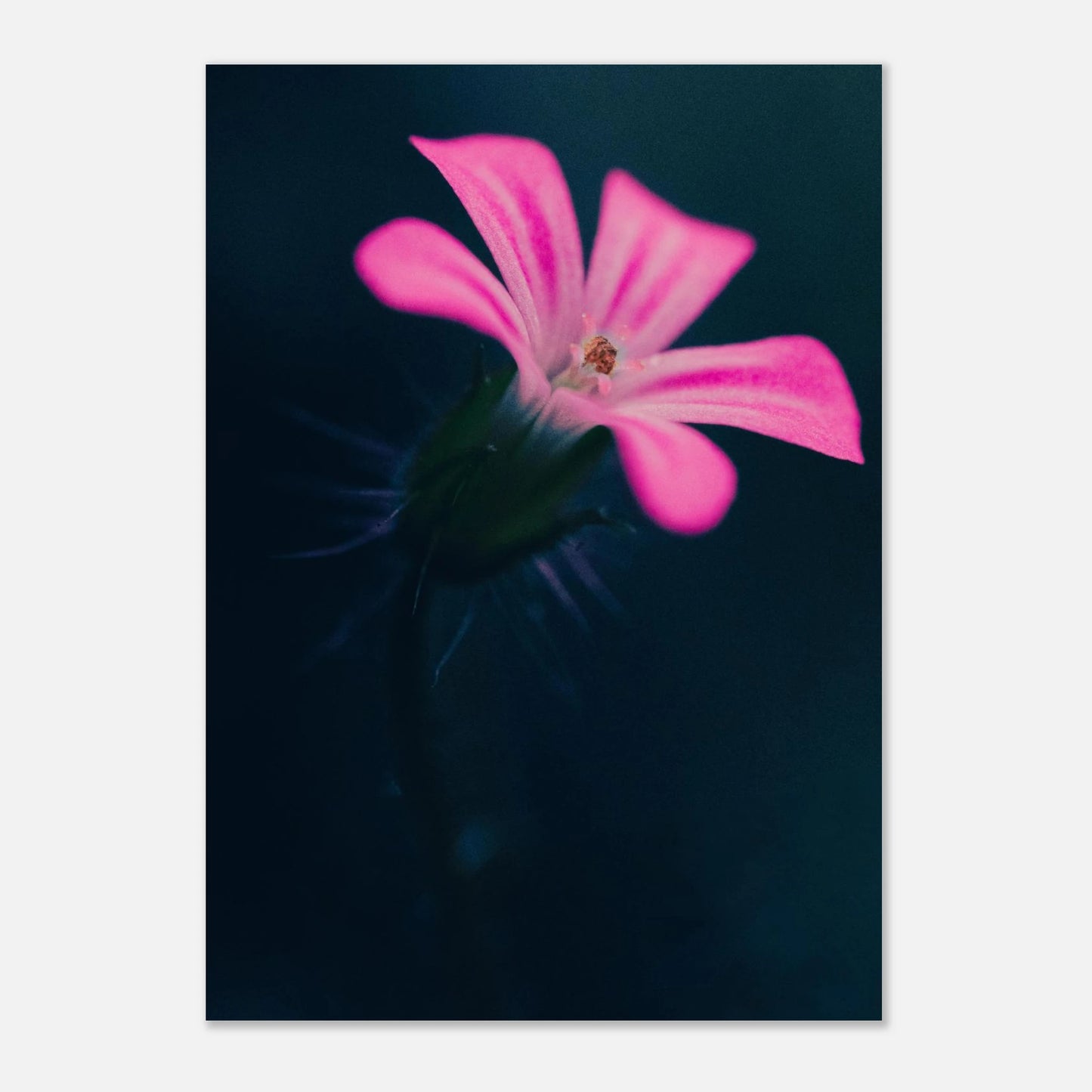 b26fd1ef-f306-4f9a-b0e0-c786bf3f4925