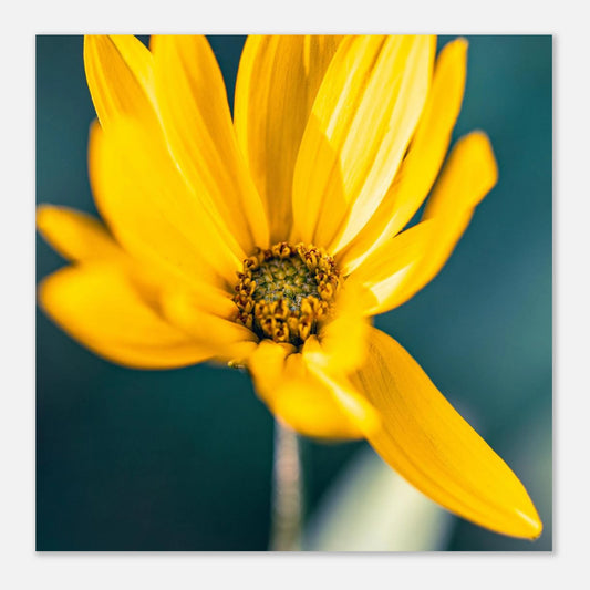 d801b813-ca58-420b-9b34-35867fa71e6a