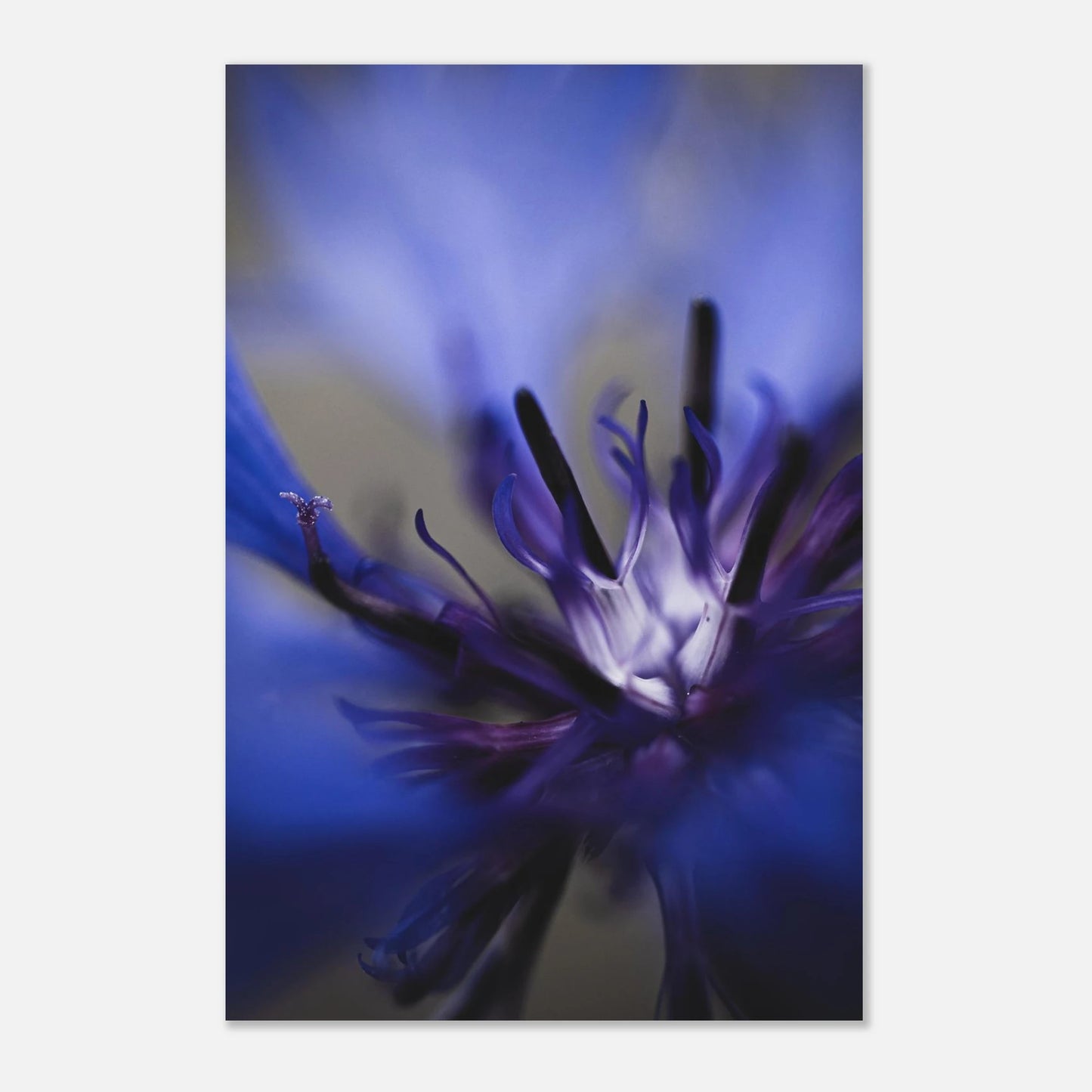 da2ddec1-62e3-40ea-8ba8-405833485d36