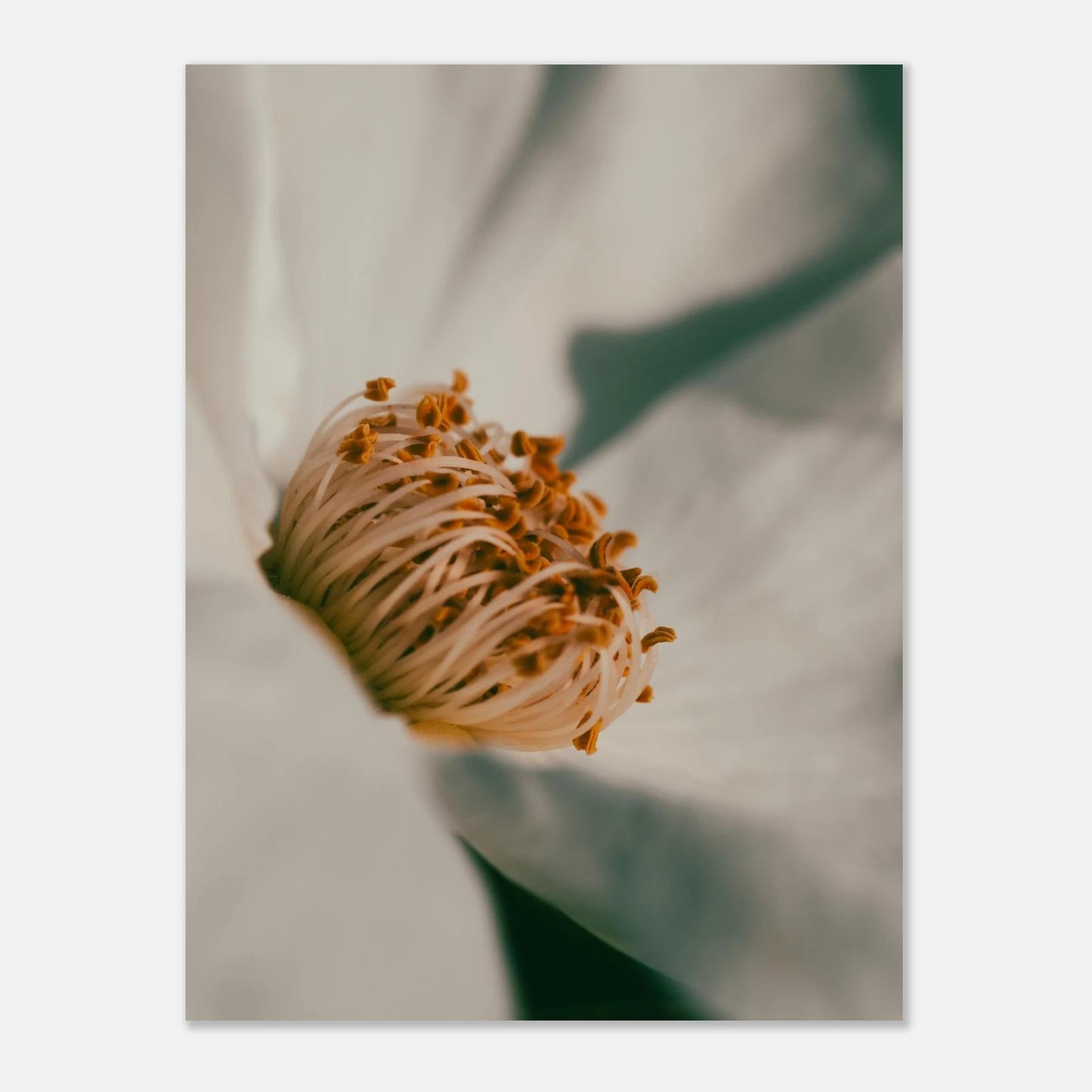 e2615034-0dcb-4776-b675-0f95819fbc68