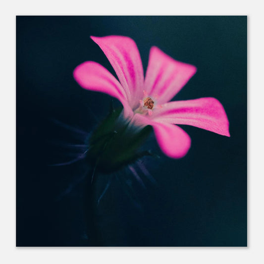 e6228d03-79c9-48f8-8d1c-6d3a9e537aa7