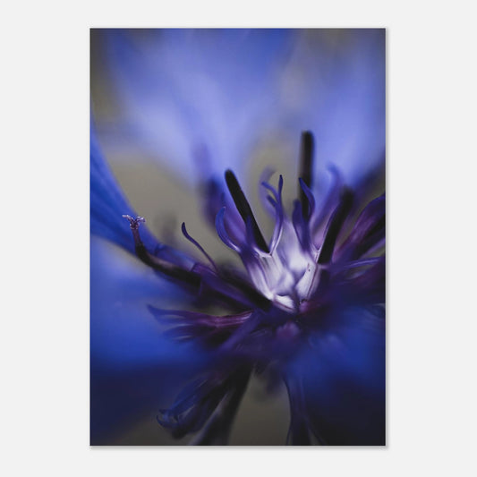 e9094d7c-915d-4340-9f1d-9166103549ea