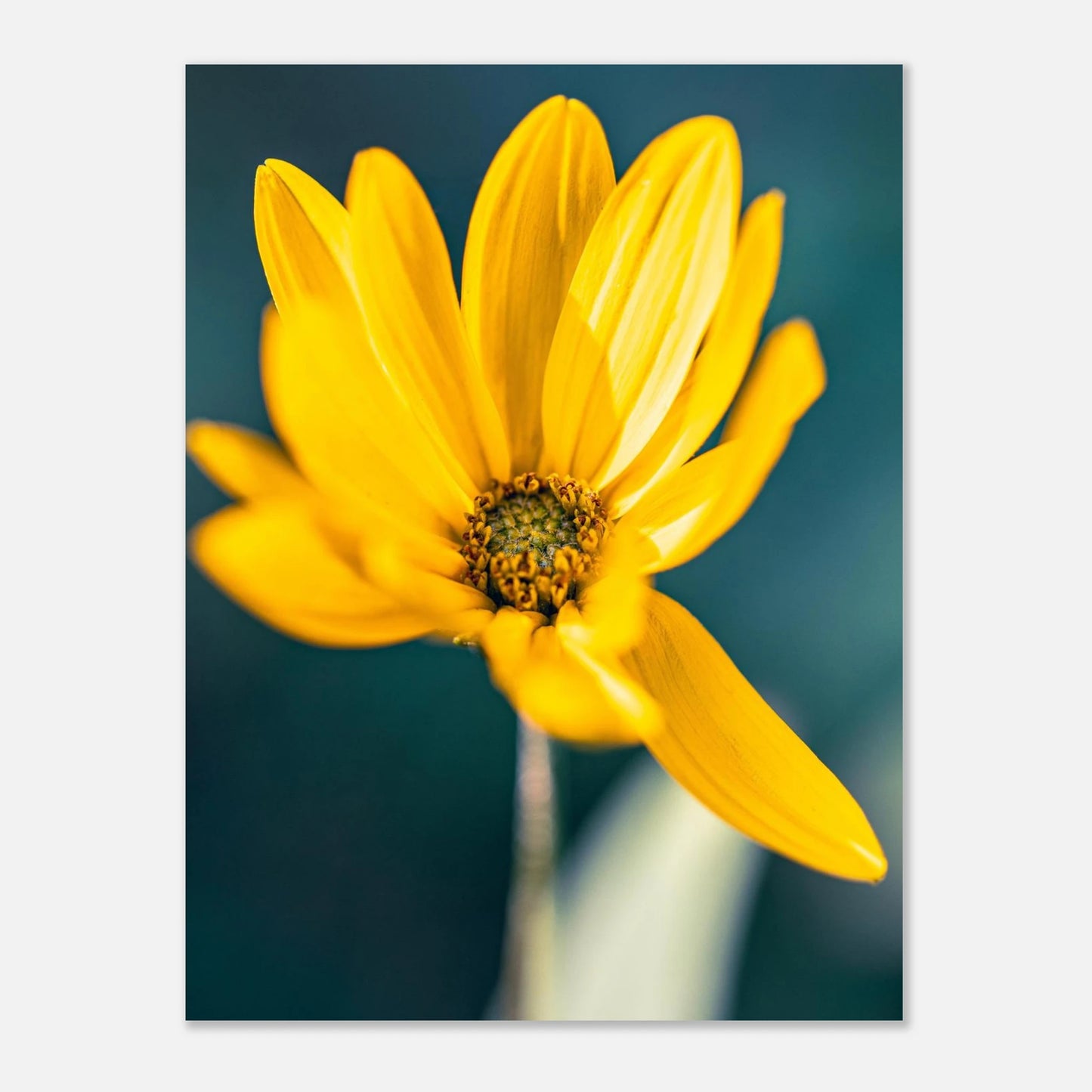 edd38812-2f50-4c3b-8e58-ccfd45517725