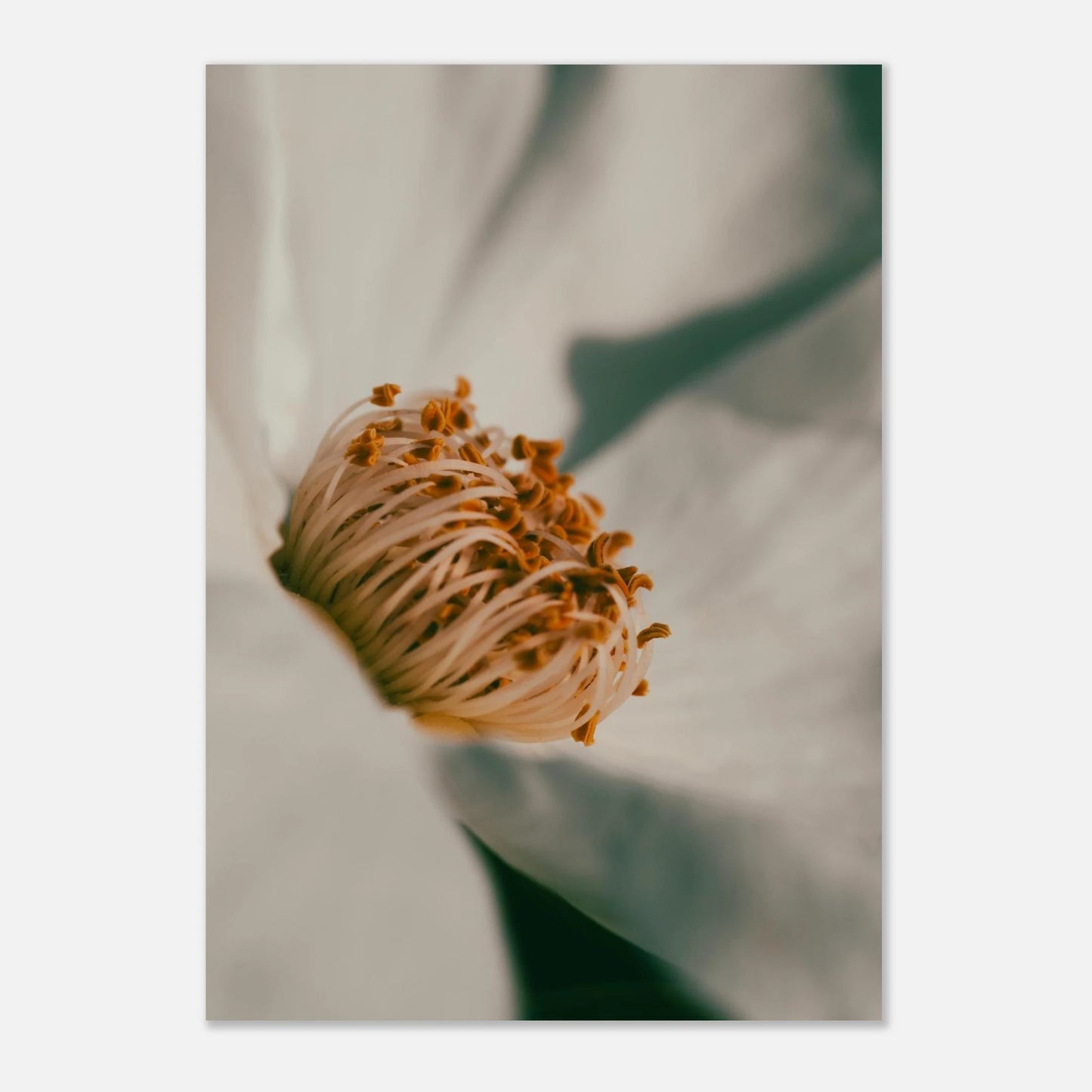 fbbade0e-872b-423b-8d9f-1ff86d2da69c